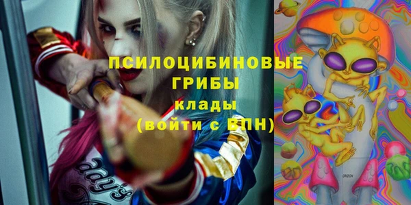 прущий лед Арсеньев