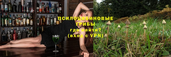 PSILOCYBIN Армянск